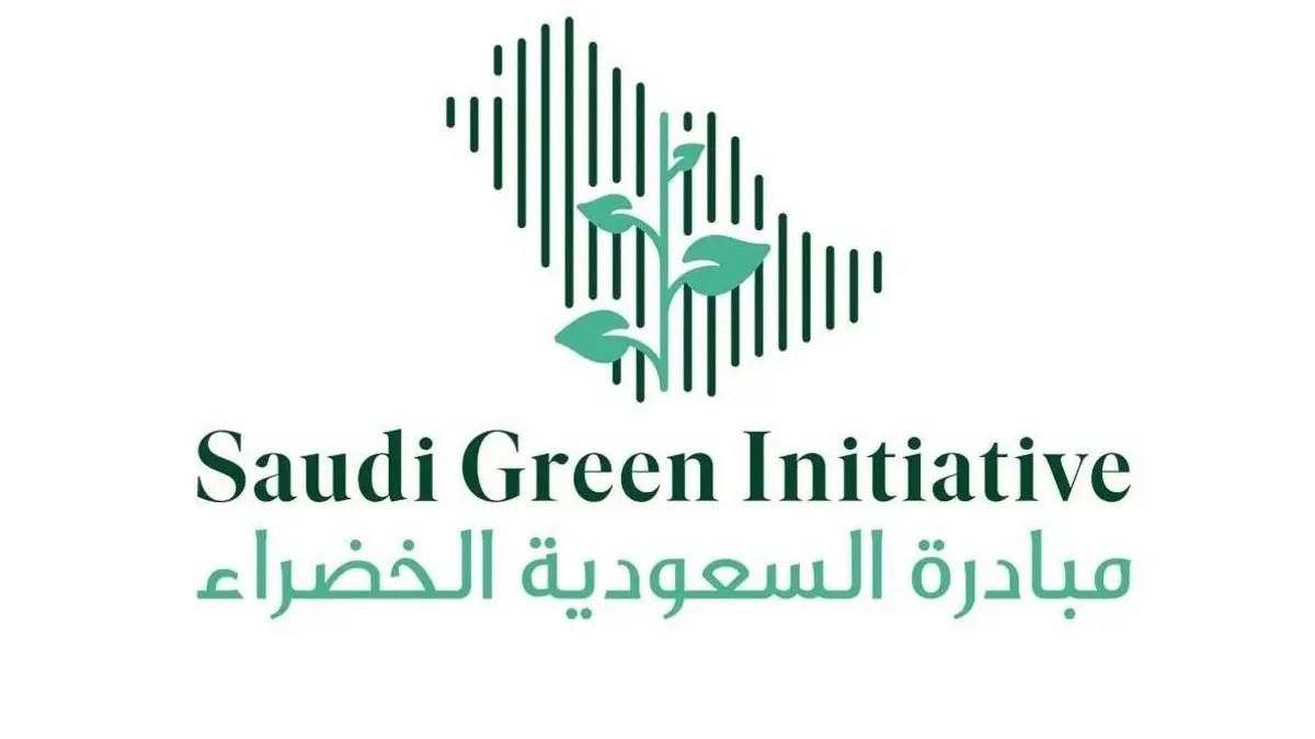 قرارات جديدة تسهل امتلاك السيارات الكهربائية وتضيق الخناق على سيارات الاحتراق الداخلي 